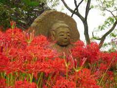 常楽寺の彼岸花_2016（2）_見頃は過ぎたようですが、まだ楽しめました（群馬県・太田市）