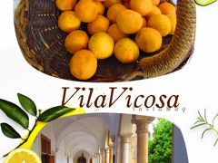 ６ ALENTEJOに誘われてポルトガルひとり旅2016 〈４日目 ヴィラ・ヴィソーザのポザーダに宿泊〉 