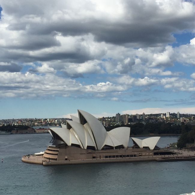 ANAのシドニー便を利用してシドニーへ行ってきました。南半球のオーストラリアは爽やかな春の陽気。<br />シドニー市内からハンターバレーまで足を伸ばして、ワイナリー見学も楽しみました。<br />