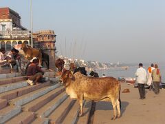 初めてのインド一人旅、ガンガ-のガ-トを端から端まで歩けました。