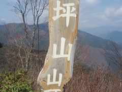 坪山登山とヒカゲツツジを求め