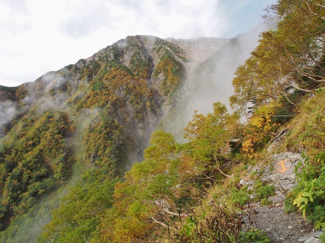 夏期休暇は旅行で山歩けず…一泊二日のショートの縦走しかできませんでした。<br />先週の南アルプス東西横断、奮発して二泊三日の日程で計画していたのですが雨天で泣く泣く途中エスケープ。<br />赤石の避難小屋にどうしても行きたかったので普通の週末に、小屋閉め前の最後の週末ですから…登って参りました。<br />どうせこの山域歩くのならせめて二泊は刻んでピークハント…というのが私の暗黙のルールなので、今回の椹島からの赤石岳ピストンも勿体ないだなんて思っていました。<br />実際歩いてみると赤石岳と対峙することができ、富士見平から先、トラバース道、北沢源頭等、歩いていて飽きなかったです。<br /><br />いつも下りでしか歩いたことがなかったルートですが、個人的には黒戸尾根よりキツく感じました。<br />あっちは12?で標高差2,200、こっちは8kmで標高差2,000。<br />間違いなく歩いていてこっちの方が楽しかったです。<br />なんせ一番高い場所に楽園がありますから(笑)。