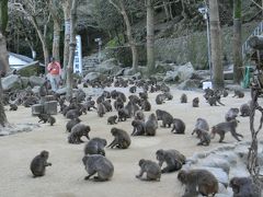 高崎山自然動物園