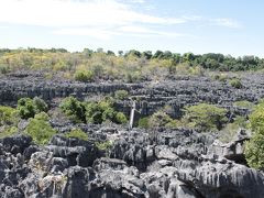 マダガスカル新婚旅行　アンカラナ特別保護区