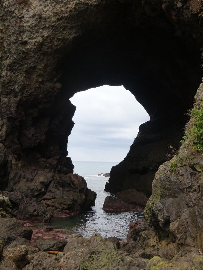 　どんよりした天気でしたが、竹野海岸に広がる景色はきれいでした。<br />淀の洞門、はさかり岩、かえる岩など面白い海岸線が続きます。晴れていたらもっときれいなのでしょうね。ドライブも楽しかったですが、秀逸は大乗寺でした。<br />　円山応挙の描いた障壁画が凄い！本当に感動ものです。日本画の素晴らしさを再確認出来ました。お寺の地形、方角、光の推移を考え、客殿の中心の仏間にある十一面観音を守護するように、その四隅に四天王を象徴した絵が描かれ、、曼荼羅の世界がこのお寺に実現されています。墨絵の力強さ、岩絵の具の鮮やかさ、細かいところまで気を抜かない綿密さ。遠近法も取り入れた素晴らしい力作ぞろいで大感激でした。明かりを消して襖絵を見ると、光の加減で絵が変化するのが面白く、墨絵なのに、松の葉が緑に見えたりと本当によく考え抜かれていて凄い！！<br />　松に孔雀図を描いて数か月後に亡くなられたそうですが、この迫力は凄いの一言です。