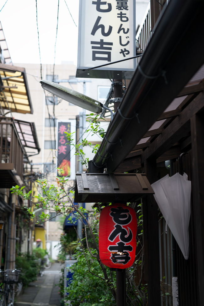 忘れたころ無性に食べたくなるもんじゃ焼き。<br />私の地元では食べられる店がめっきり減ってしまったため、我が家ではもんじゃ＝月島の図式になってます。<br /><br />毎回違う店でいただいていますが、今回はメーンストリートから外れた路地裏系の名店を尋ねます。<br /><br />もん吉<br />https://tabelog.com/tokyo/A1313/A131302/13012758/