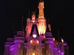 開園から閉園まで遊び尽くす！東京ディズニーランド14時間