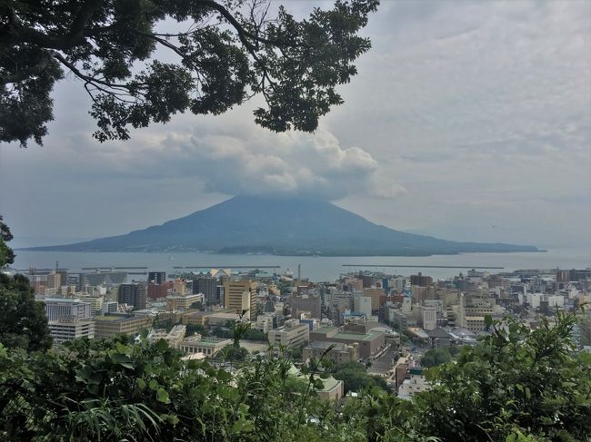 8か月の子連れ家族旅行。<br />2日目～3日目の夕方まで。<br />鹿児島へ移動して2日目の夜は天文館の居酒屋さん、3日目は城山、知覧に行きました。