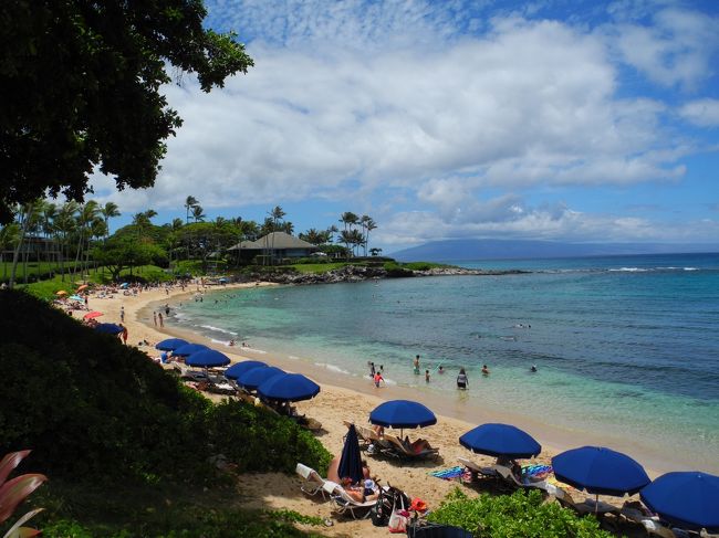 今年の夏初めてハワイに行ってきました。<br />マウイ島では綺麗なビーチとラハイナの街歩きを楽しみました。