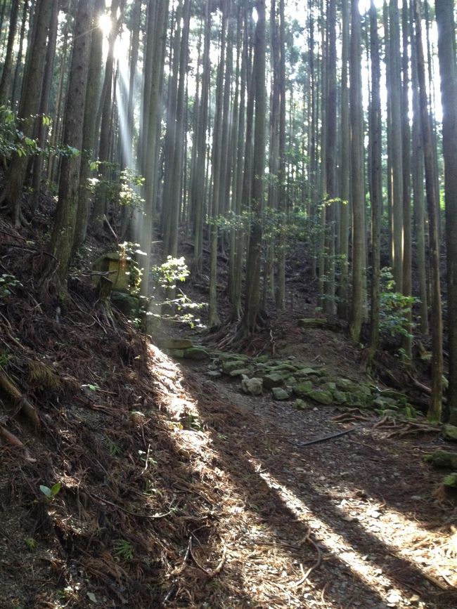 熊野古道を歩きたいと思い和歌山へ行ってきました。神話の土壌となったものを少しでも感じられたらいいなと思い行きましたが、森の中で自分1人しか人間がいない時のあの感覚は、今でも忘れられないものとなりました。