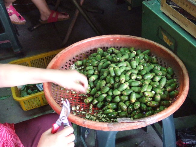 台湾旅行(西門町で飲茶/高雄行き/台北行き) 2006/05/02-04<br /><br />[写真] 檳榔<br /><br />・西門町で飲茶 2006/05/02<br />・高雄行き 2006/05/02-04<br />・台北行き 2006/05/04