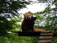 2016年7月 いしかわ動物園