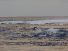 タヒチでCカード取得 【その11】 "ランギロアのティプタ・パス" までサイクリング、"野生のイルカのジャンプ" 待ち！