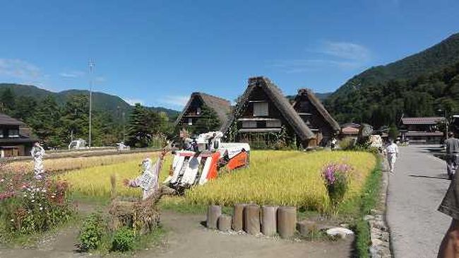 秋の飛騨路　「ひぐらしのなく頃に」の雛見沢（白川郷）聖地巡礼