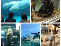 北海道２日目。旭山動物園を満喫！