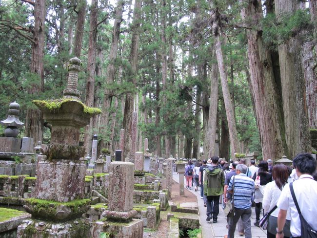 《車中泊旅　第２弾》<br />ＴＶで高野山の旅番組を見て、ふっと行ってみたくなった。<br />ついでに周辺の温泉巡りを兼ねて出かけてみました。<br /><br />【２日目】<br />高野山・奥之院の残り半分を観てから龍神温泉まで移動してまったりします。<br /><br />---------------------------<br />【日程】<br />D1　9/11日　自宅～高野山(壇上伽藍・金剛峯寺・奥之院)<br />D2　9/12月　高野山(奥之院弘法大師御廟・三昧院)～龍神郷･小又川温泉　<br />D3　9/13火　龍神～中辺路「野中の清水」～川湯温泉～熊野本宮大社<br />　　　　　　～渡瀬温泉～十津川郷･湯泉地温泉<br />D4　9/14水　十津川温泉～下北山温泉～洞川温泉<br />D5　9/15木　洞川温泉～帰宅<br />