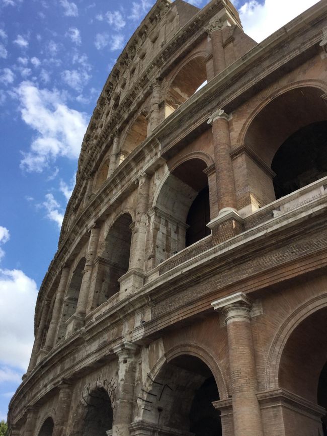 Rome-狼に育てられた双子（Romulus）が建国したローマ帝国。。。<br />ローマ帝国の歴史やドラマが大好き。<br />『ROME［ローマ］』は、アメリカ合衆国のHBOとイギリスのBBCが共同制作したテレビドラマで、内乱期のローマから帝国滅亡までのストーリーをDVD全11巻21話から構成されている。ジュリアス・シーザー暗殺、マーク・アントニーとクレオパトラまでの史実に基づいてはいるが細部まではドラマのストーリーで展開する。<br />これからローマを訪れる人は必見！楽しさが倍増します。<br /><br /><br />