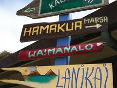 2016夏  ハワイ…何度でも。(The Pillbox)    カイヴァ・リッジ・トレイル                             