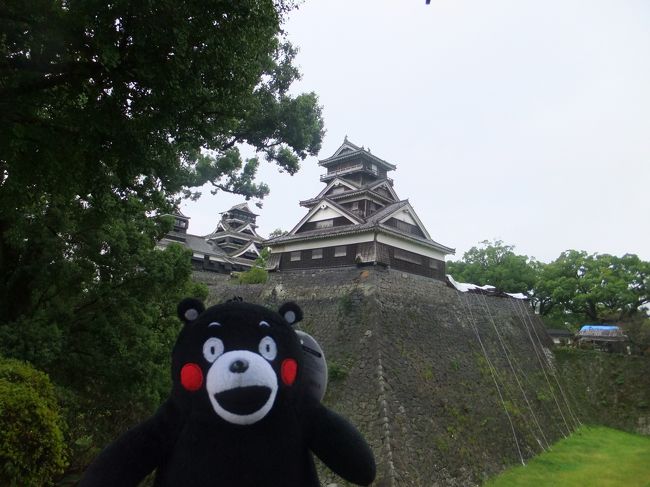 　二週間前に台風で延期した、一泊二日のふっこう割での熊本の旅に行ってきました。大阪に前泊したので、実質二泊三日ですが、土曜日の夜に出発して、日曜は終日市内観光、月曜の始発便で戻ってきた感じです。 <br /><br />　熊本は、たまに傾いたままとか、壁が崩れたような建物もあって、まだまだ地震からの復興途上です。熊本城は修復工事中で当分は入れませんが、街中は割と普通に歩けるし、お店もちゃんとやっています。そして、ここまでかというくらいのくまモンブーム。あちこちにくまモンのイラストが描かれています。 <br /><br />　阿蘇方面、豊肥本線や南阿蘇鉄道が復旧した頃にまた行きたいなあ、という感じです。 <br />