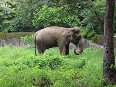 夏のインドの旅4　ムンバイ　ヴィクトリアガーデン