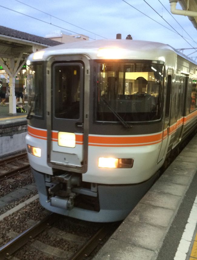 前回の広島旅行から一週間。<br />お盆休みを使い飯田線の秘境駅を巡りに出かけました。<br /><br />飯田線は十年以上前に全線乗りつぶしています。<br />今回は途中下車をしながら、様々な駅を訪れてみたいと思います。<br /><br />飯田線は本数が少ない（それでも2～3時間に1本程度あるので恵まれている方かもしれませんが）ので、時刻表を片手に宿泊地も考えてみました。<br /><br />しかし世間はお盆の真っただ中、飯田線沿線のホテルは満室or高いのでなかなか見つかりません。<br /><br />結局、始発駅の豊橋駅近くのビジネスホテルが格安でなおかつ空室がありましたので、そこを予約しました。<br /><br />12日は午前中に仕事があったので、この日の飯田線訪問は諦め、豊橋までの移動日にし、13日に飯田線訪問に充てました。<br /><br />ここでは初日、豊橋までの移動の旅行記を掲載しています。<br /><br />前回の広島旅行の際に購入した青春18きっぷの消化を兼ねて、豊橋までローカル線で行くことにしました。<br />（お盆の最中ですので新幹線は混雑しているでしょうし、中途半端な時間になってしまいますからね。）<br /><br />18キッパーにとって静岡県内の東海道線は、快速列車もなく、座席はすべてロングシートと、移動が大変な区間で有名です。<br /><br />その中で、夕方に走っているホームライナーはわずかな座席指定料を支払えば特急列車の車両に乗れるので、ありがたい存在です。<br /><br />特に沼津を18時半過ぎに発車する「ホームライナー浜松3号」は沼津～浜松、さらにそのまま豊橋行きになるので、実質沼津～豊橋間を乗り換えなしで行くことができるので、かなりお得な列車です。<br /><br />前から存在は知っていましたが、使う機会がなく今回初めてこの列車を使うことにしました。<br /><br />【行程】<br />品川（14：46発）→快速アクティー→熱海（16：14着）<br />熱海（16：17発）→普通・浜松行き→沼津（16：37着）<br />沼津（18：31発）→ホームライナー浜松3号→豊橋（20：46着）<br /><br />