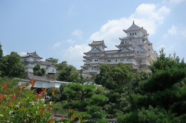 お見舞いついでに世界遺産♪姫路城で日焼けする〈城内でも汗だくの巻〉