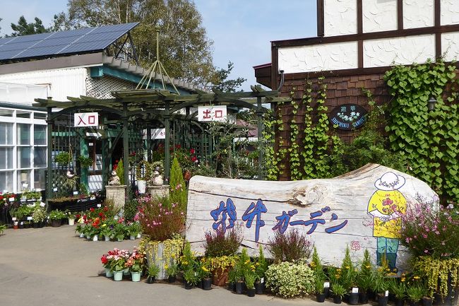 今回は北海道ガーデン街道の代表的なガーデン4か所に行ってきました。<br /><br />まず紫竹ガーデンと真鍋庭園をアップします。