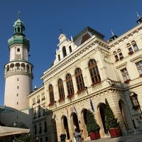 ハンガリー・スロバキア・チェコ周遊１０日間-５　午後ショプロン