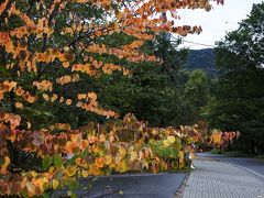 日光の紅葉はまだまだ先（10月4日）