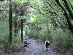 箱根旧街道石畳を歩く