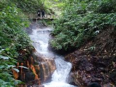 妹家族が鮭旅行(^^♪　にやってきました～到着日は足湯へ