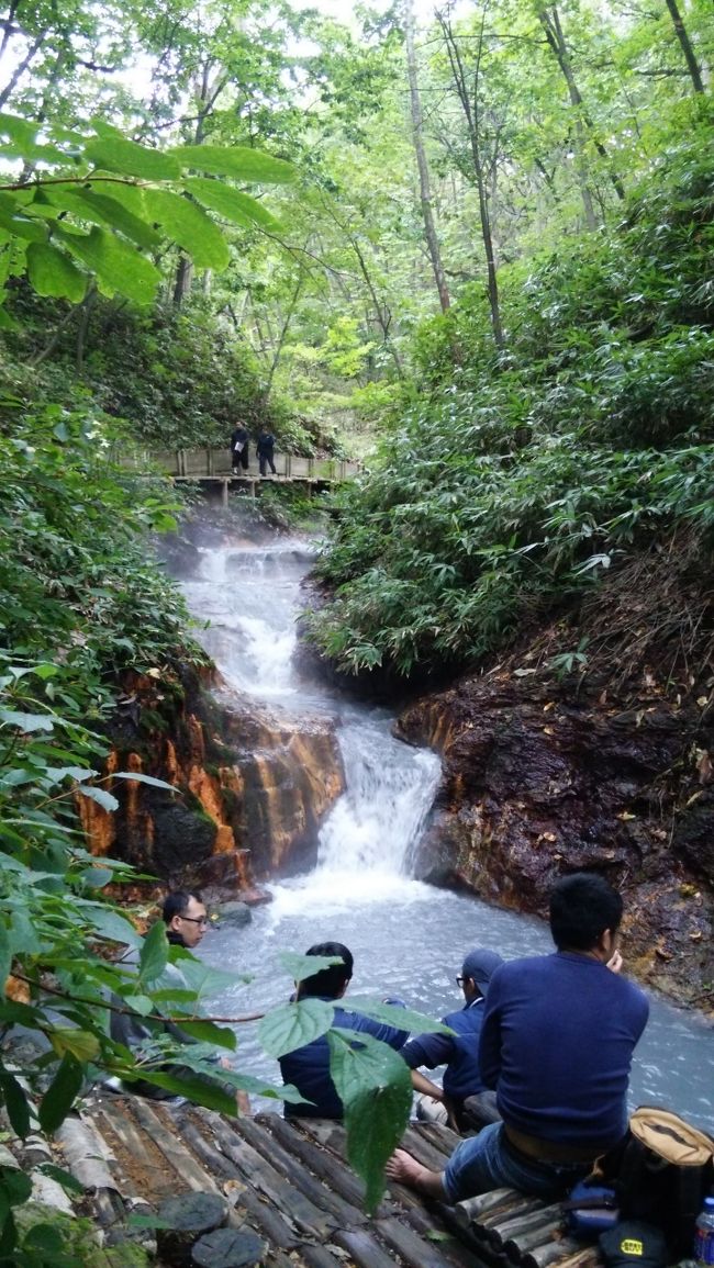 妹家族が3年ぶりに北海道に遊びに来ました。　　メインの目的は、鮭釣り！毎年私達夫婦が釣った鮭＆イクラを送っていたのですが、今年はぜひとも釣りたい！とやってきました。　雨の日もあって、観光もしながら、楽しい時間を過ごしました