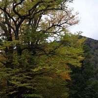 奥日光小西ホテル（館内編）