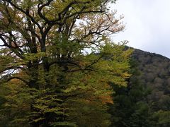 奥日光小西ホテル（館内編）