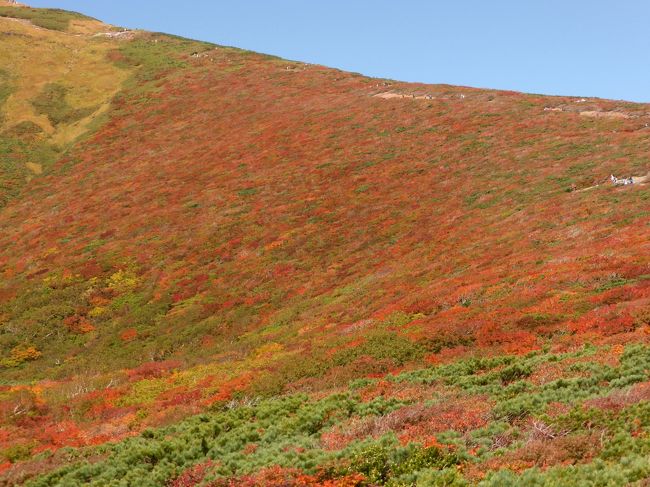 　栗駒山には2009年の10月（内陸地震の翌年）に登っています。この年は一ノ関駅まで須川高原温泉の送迎があり、自炊部に4泊（最終日は旅館部の食事付き）し、須川コースを往復しました。紅葉は昭和湖から名残ヶ原辺りが見頃で、今まで見た紅葉の中で一番きれいで素晴らしかったと心の残っています。今年、どこに紅葉を見に行こうか考えた時に、もう一度栗駒山の紅葉を見たいと思い、8月に須川高原温泉に電話。旅館部は満室だったので自炊部を3泊予約しました。ところが週間天気予報が出てから、期間中はずっと曇り雨。一番天気がましな日に登ろうと考えていた所、2日前になって初日が一日中晴れに2日目は15時が晴れマークに変わりました。当然晴れの日に登りたいので、当初は須川コースを往復するつもりでしたが、いわかがみ平から中央コースを登り、須川コースを下る事に変更。前日に食材、パンなどをクール便で宿に送りました。<br /><br />　その1。東京駅、6時4分発のやまびこに乗車。くりこま高原駅からは栗駒紅葉号でいわかがみ平へ。準備をして10時40分過ぎから登り始めました。