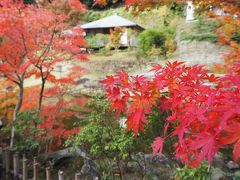 今年も行きたい鎌倉紅葉（旅行：2015/12/6）