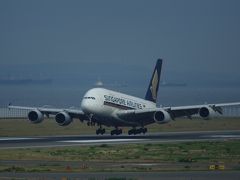 通算5回目　セントレアにＡＩＲＢＵＳ Ａ３８０がやってきた