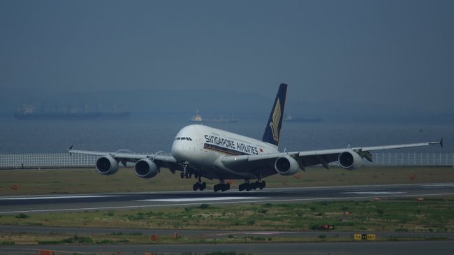 通算5回目　セントレアにＡＩＲＢＵＳ Ａ３８０がやってきた