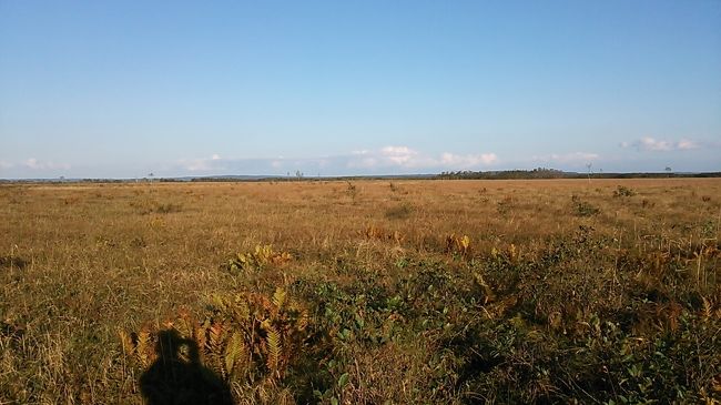 ご覧戴きましてありがとうございます。<br /> 2016年9月17日の土曜日から2016年9月26日の月曜日の間、北海道へ旅行に行ってきました。<br /> そのうち2016年9月21日・22日の2日間は釧路湿原と帯広付近の景観を見るべく札幌から1泊2日?かけて往復してきました。<br /> 札幌~帯広・釧路間の移動にはJRを利用したのですが、旅行日現在、石勝線・根室本線のトマム~芽室間は列車の運行が出来ない状態にある為、札幌~釧路間を結ぶ特急「スーパーおおぞら」、札幌~帯広間を結ぶ特急「スーパーとかち」は全ての列車が運休となっていました。その為、札幌~釧路間で1日3往復の輸送手段が確保され、そのうち札幌~トマム間は臨時の特急列車、帯広~釧路間は臨時の快速列車、そしてトマム~帯広間は列車代行バスとして運行されていました。<br />1日目は車で釧路湿原の景色を楽しみ、2日目は帯広名物の豚丼を頂きつつ、レンタサイクルで十勝の風景を見てきました。<br /> そのうちパート1では札幌から釧路までの移動の様子、パート2では釧路湿原展望台付近にある湿原展望遊歩道という散策路を歩いた時の様子をご覧戴きました。<br /> パート3では鶴居村にある恩根内ビジターセンターにある遊歩道を歩いた時の様子をご覧戴きます。<br />