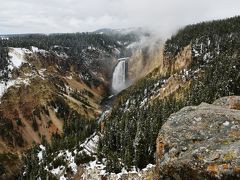 Salt Lake, Yellowstone, Grand Teton そして L.A　その３：Yellowstone 2