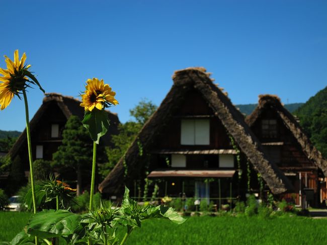 冬に訪れた 金沢 白川郷と飛騨高山<br />あれ食べたかった～の私の話に家族も行きたい！と <br />子供たちの夏休みに車でお出かけ<br />食べ歩きの家族旅行になりました<br /><br />１日目 金沢 兼六園 金沢城公園 <br />　　　 ひがし茶屋街「箱座」で金箔体験<br />　　　 21世紀美術館  <br />２日目 白川郷と飛騨高山<br />３日目 小松 サイエンスヒルズこまつ<br />