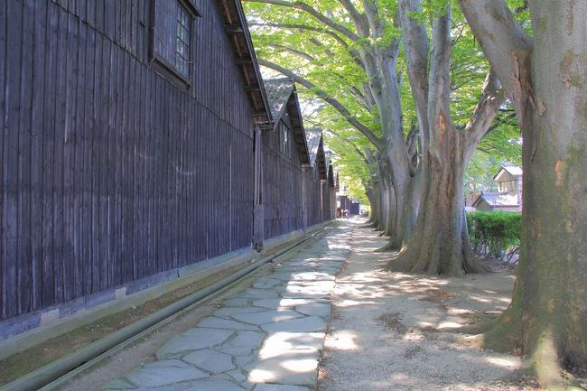 マイカーを利用した下道で行く1泊2日の山形旅行、2日目です。<br /><br />【日程】<br /> 1日目:出発→山形空港→山寺→羽黒山→庄内空港<br />★2日目:山居倉庫→日和山公園→とびしま→上山城→福島空港→帰宅<br /><br /><br />~前半の旅行記はこちらから~<br />☆山形 1泊2日(2014) ~前半~<br />http://4travel.jp/travelogue/11160864