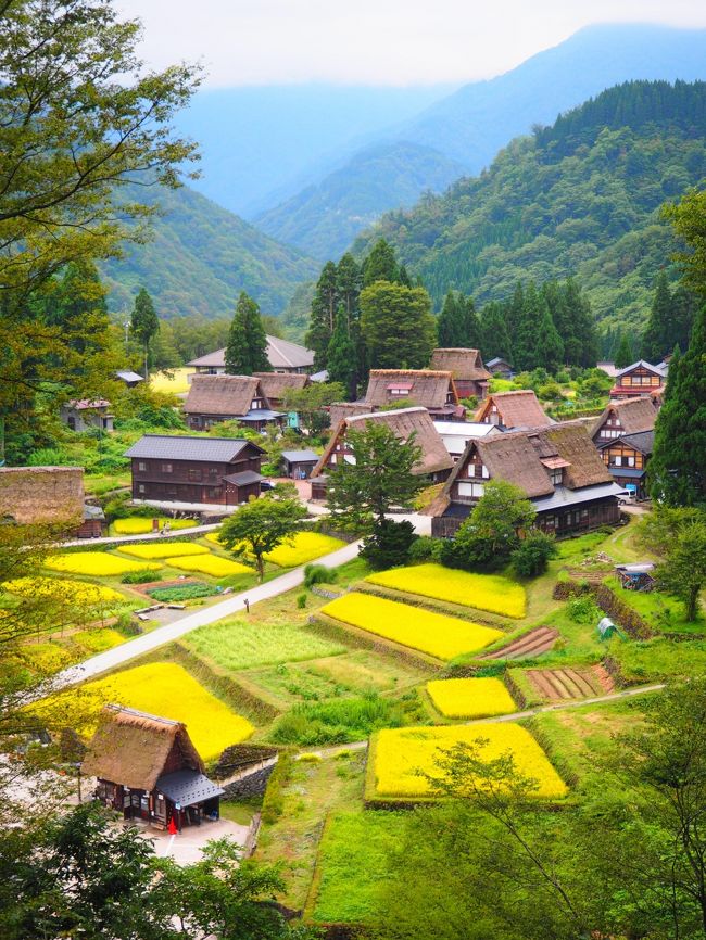 北陸新幹線がとおってからさらに人が増えたらしい五箇山。<br />ブッキングドットコムのＣＭで代表写真にされてしまった五箇山。<br />メジャーになってしまって寂しい限り。<br />ここはひっそりとしてるのがよかったのに。<br /><br />しかし<br />日中は人でゴミゴミしてるかもしれないけど<br />夜宿泊すればやはりここは桃源郷。<br />静寂。くつろげる。<br /><br />観光地化されたよい点としては、<br />村出身の若い人が戻ってきて村に活気が戻ってきたことだそうです。