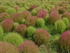 一生に一度は目にしたい絶景１０景めぐり　１