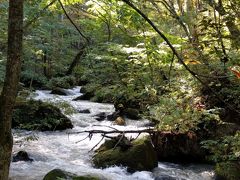 秋の八幡平、奥入瀬の旅( 3日目)