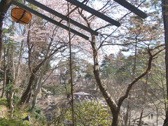 ３年前の厳美渓は寒かったですが、今年の春は桜がこれから咲き始めるところ...