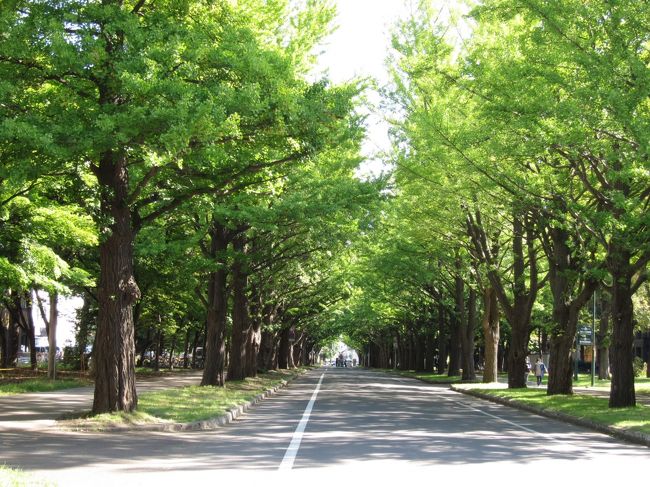 北海道2016-Ⅳ　また札幌だよの巻