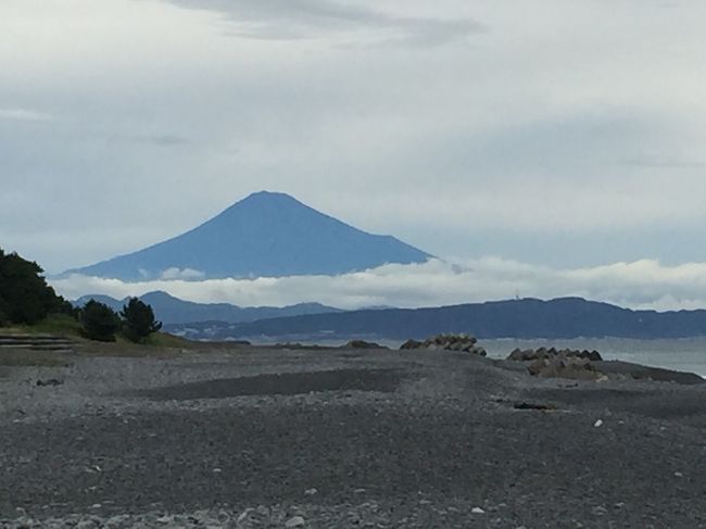 表紙の写真・ディスカバリーパーク焼津の前浜・田尻海岸より望む富士山。<br /><br />2016・10月9日。<br /><br />お断り・地域を焼津に致しましたが、内容は特に観光をしておりませんので無いですし、愛知の半田市と合作です。<br /><br />最後に焼津魚センターの雰囲気は追記しました(2016・12・11)<br /><br />夫の名古屋転勤で愛知県に転居して、帰省する時に大井川から富士山を見つけるとほっとして、静岡に帰ってきた～と思ったものです。<br />それが、いつしか東名高速道で、名古屋のビル群が見えると、自宅に帰ってきた～という気分になっていった。。。<br /><br />故郷は遠きにありて思うもの・・・<br /><br />最近、年を取ったせいか焼津の家の暮らしが懐かしくなる。<br />たった5年しか住めなかった我が家とのお別れに惜別の思いが・・・<br /><br />私の母の100歳の誕生日祝いは子供と連れ合いのみで行いました。<br />孫である娘が以前より、お祝いに行きたいと言っていましたので、3連休の中日に行ってまいりました。<br />100歳の方1963年は153人。2016.9月現在65692人にいらっしゃるそうです。<br /><br />娘は弟が生まれて直ぐに大病を患って、5年生に心臓手術するまで事あるごとに、母に面倒を見てもらった事を覚えていまして、祖母の事を愛おしく思ってくれていますし、私以上に大事に思っていると思います<br /><br />母は耳は遠くなりましたが、杖を使いながらも出来る事はしますし、ミステリーの単行本をベッドで読書したりと、認知症も無く元気です。<br />この日も皆でビンゴゲームで遊びましたが、耳元で数字を言いますと、自分で折り込んでいました。<br />兄夫婦に頼り切りですので、感謝しかありません<br /><br />4月7日・娘婿がベトナムに旅立つ。<br />娘は仕事・孫達は新学期なので、夫と2人でセントレアへ見送りに行きました。<br />半田の散策もボツになりそうなので合体させて<br />しまいました。<br /><br />＊半田市(尾張知多地方）ホームページを開かれますと、山車・南吉・レンガの建物など出てきます。<br /><br /><br /><br />