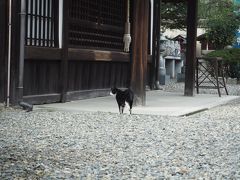 京都巡礼の旅