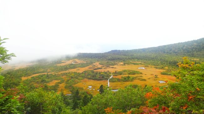 前回は小雨のため毛無岱を諦めたので、再チャレンジの旅に行って来ました。